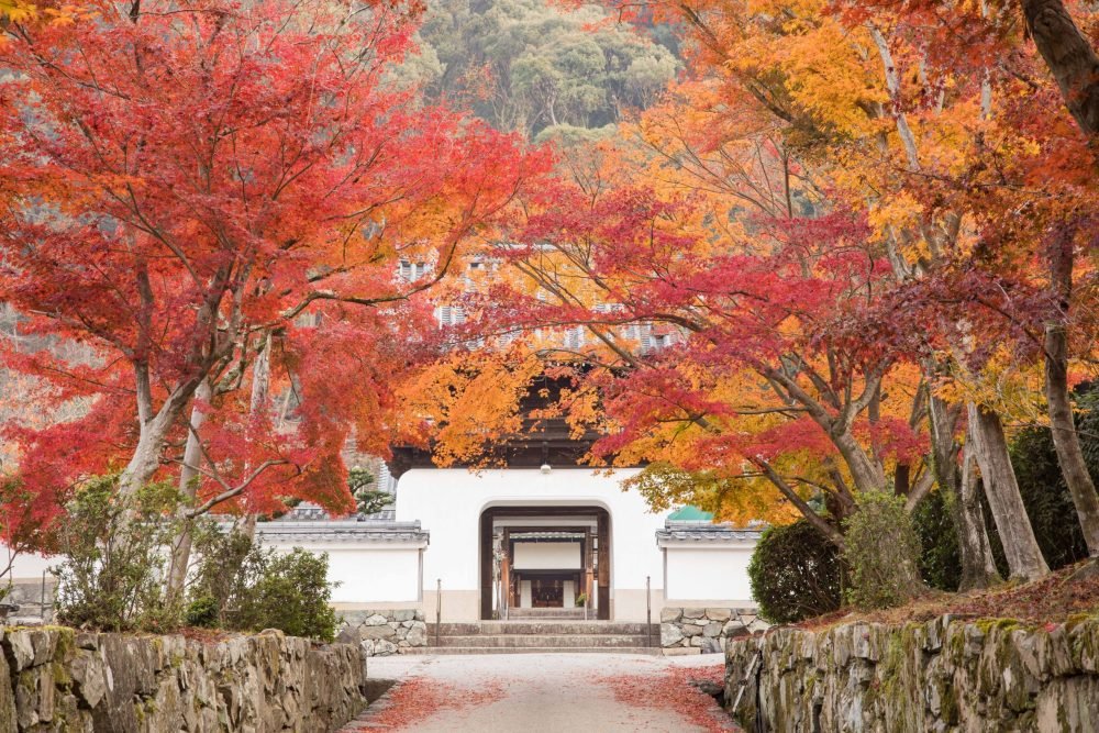 🏯 구름 바위 절 (운간지) 이미지 6